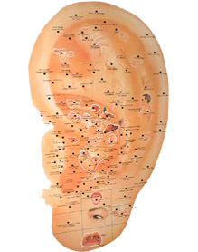 oor acupunctuur punten
